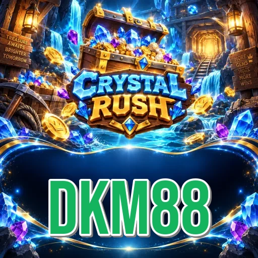 App Information dkm88