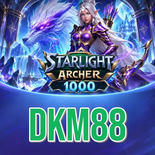 Security Audit - dkm88 Comprehensive Analysis